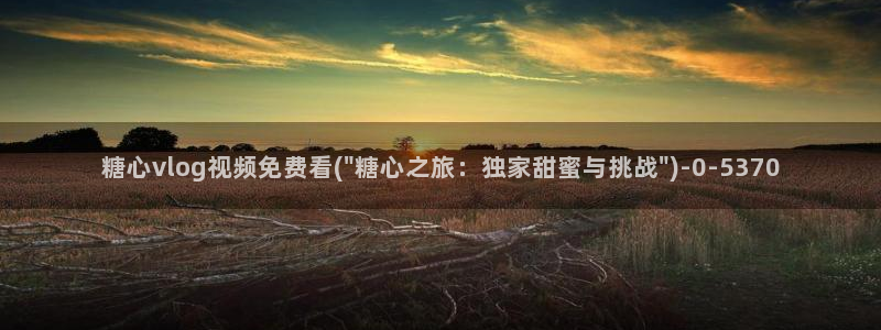 糖心vlog网络错误