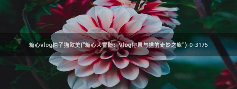 可乐导航糖心vlog