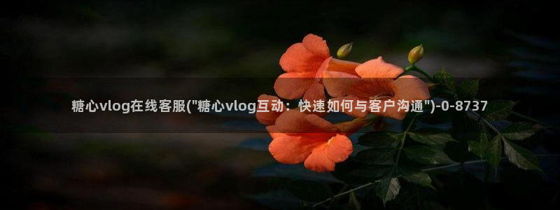 糖心vlog版本ios