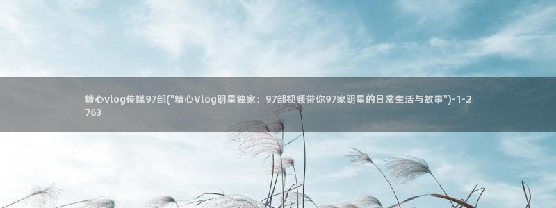 糖心vlog安装不了