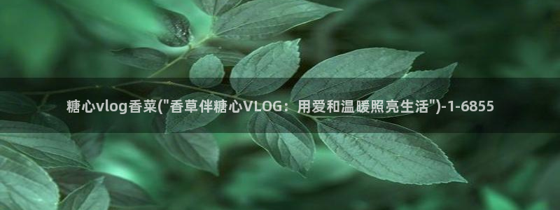 糖心vlog在线打开