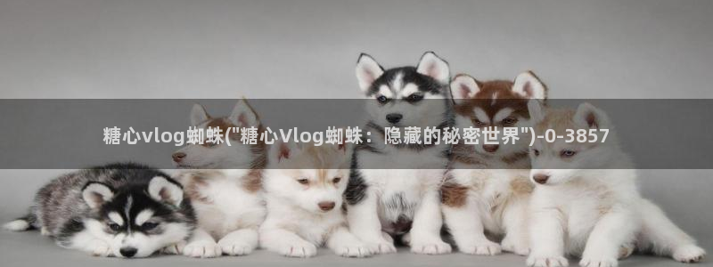 糖心vlog圣诞特辑