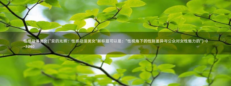 h动漫