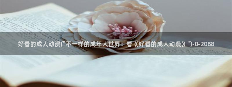 肉番动漫