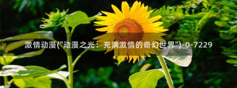 经典动漫
