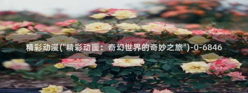 动漫视频