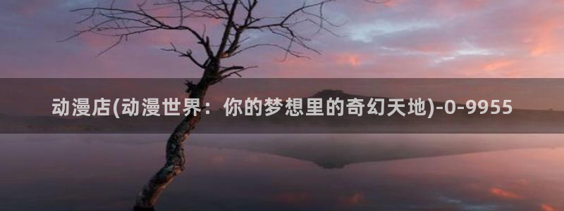 风车动漫