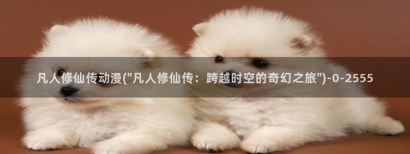 动漫杂谈