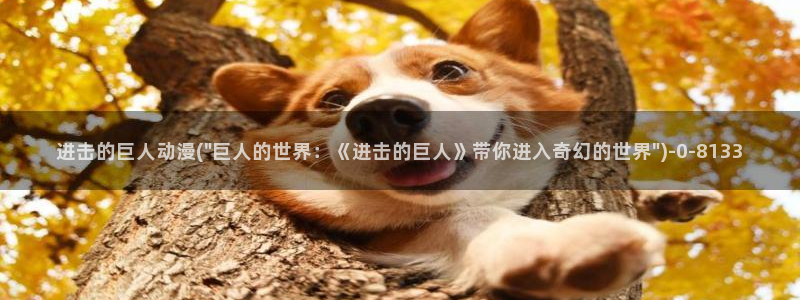 性爱动漫